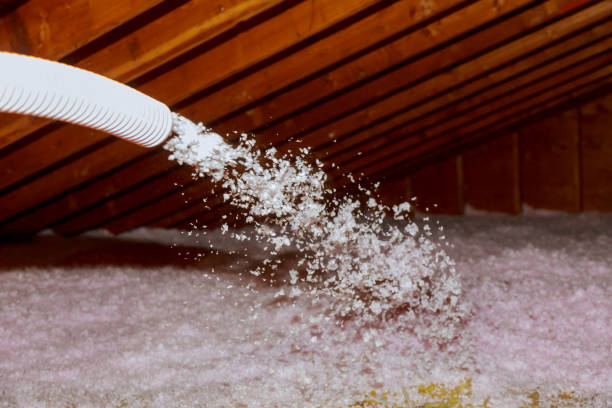 Best Blown-in Insulation  in Cullowhee, NC