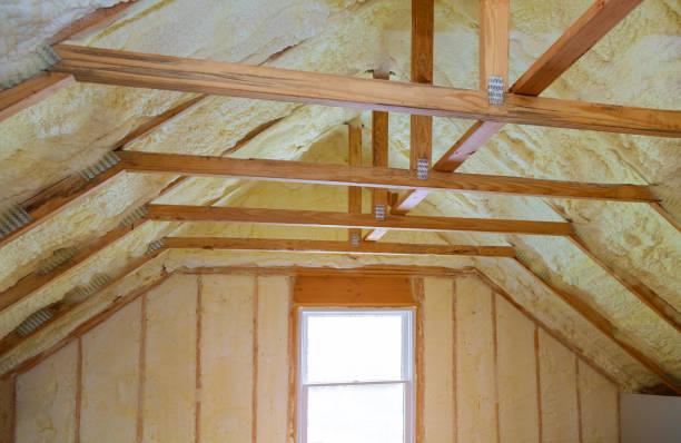 Best Insulation Contractors for Homes  in Cullowhee, NC