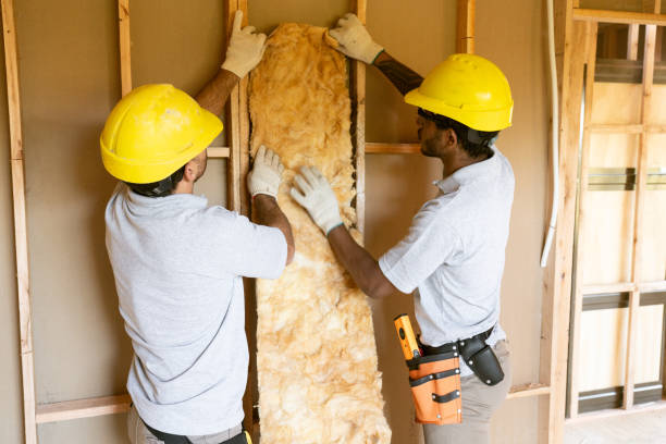 Best Insulation Inspection Services  in Cullowhee, NC